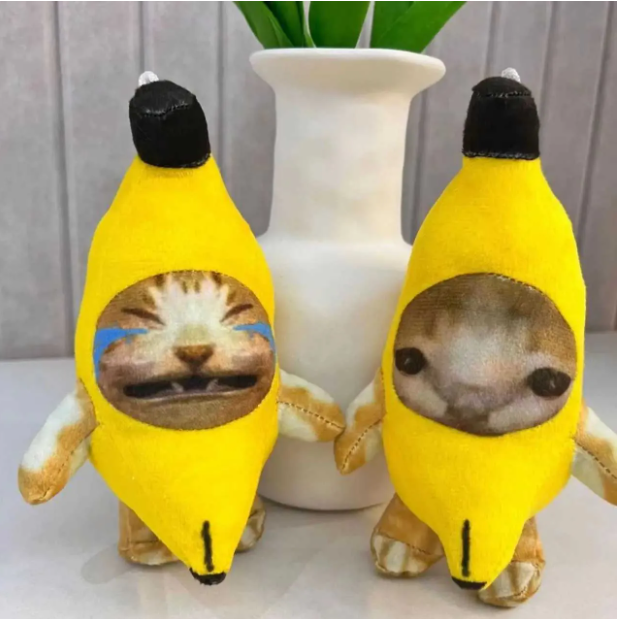 Crying cat