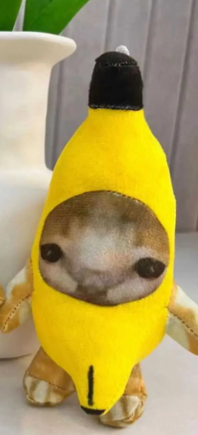 Crying cat