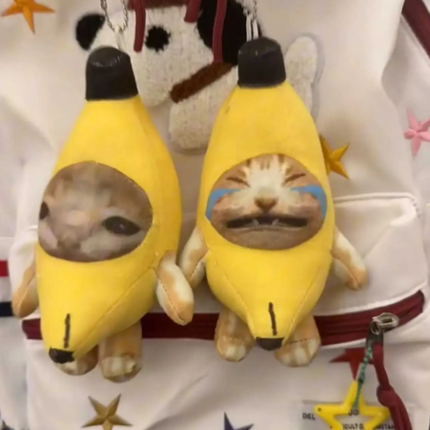 Crying cat