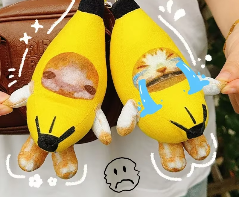Crying cat